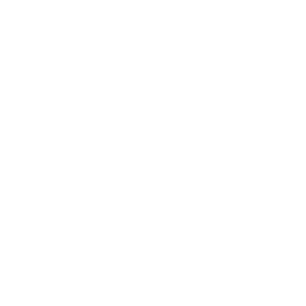 Active Camp logo